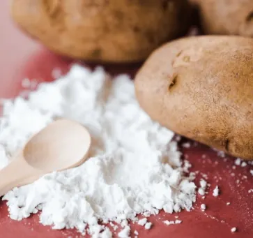 Potato starch powder on a wooden spoon beside potatoes